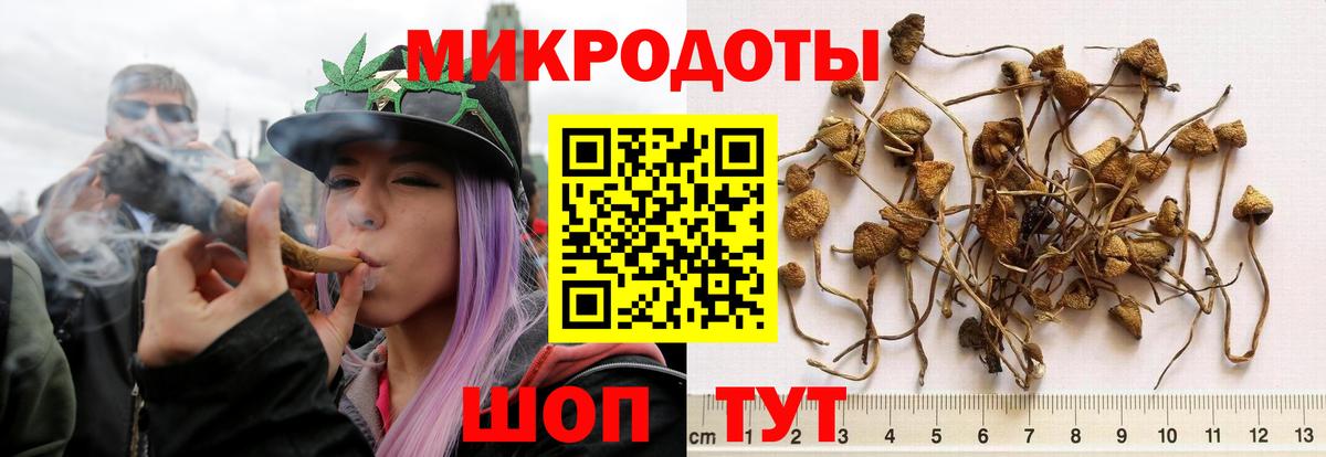 Галлюциногенные грибы мицелий  Вход с VPN  Киров  Псилоцибиновые грибы MAGIC MUSHROOMS 