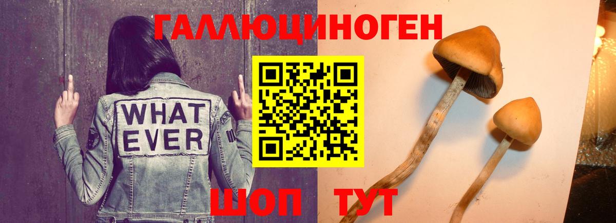 NBOMe  Вход с VPN  COCAIN  Гашиш  МЕФ   Киров  Канабис 